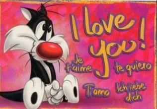 je t'aime mon amour